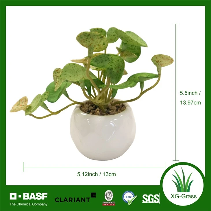 Xingu Beautifully Crafted Fake Succulent Plant For Indoor Spaces best
