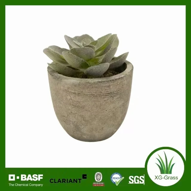 Lifelike Mini Succulent Art price