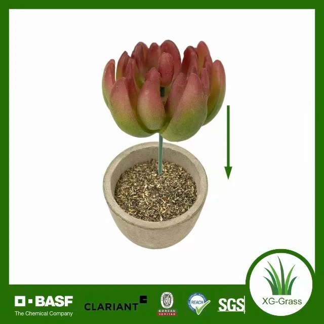 Eternal Succulent Bloom factory